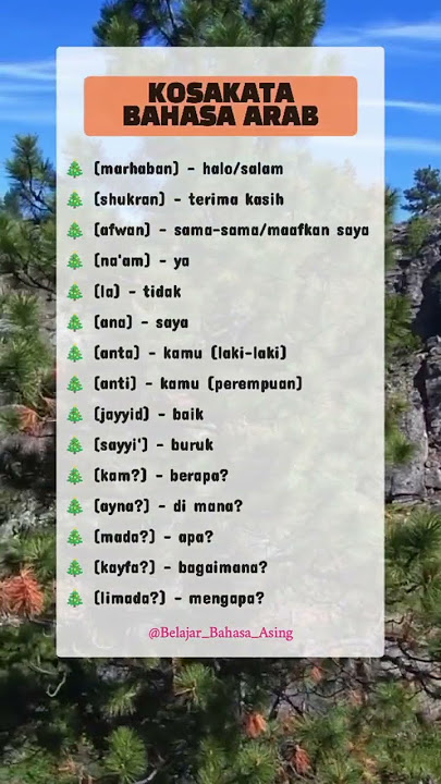 Kosakata Bahasa Arab #bahasaarab #arab #arabic #shorts