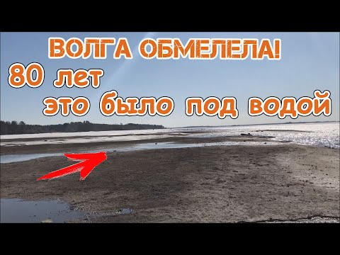 Видео: Как да закупите обиколка по Волга