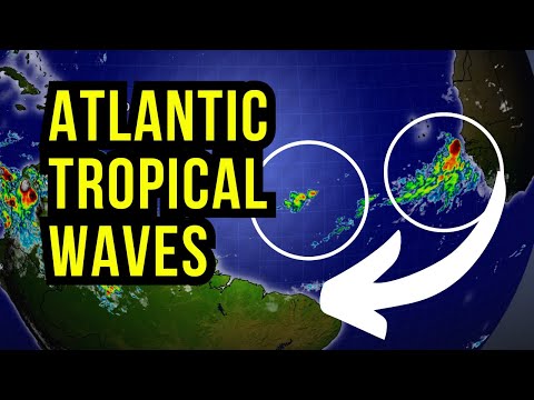 Two Atlantic Tropical Waves...