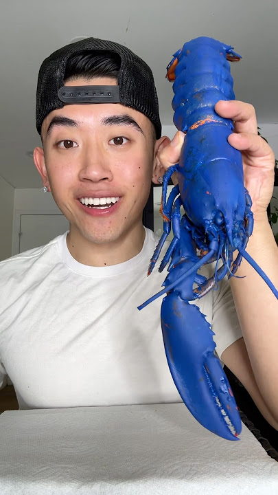 Download lagu EATING PREGNANT BLUE LOBSTER