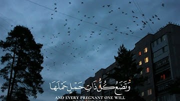 {يَا أَيُّهَا النَّاسُ اتَّقُوا رَبَّكُمْ ۚ} تلاوة خاشعة من سورة الحج للقارئ عمر هشام العربي