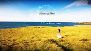 DJ GROSSU _ Nature of Love | Amazing Instrumental music Bass (  song )