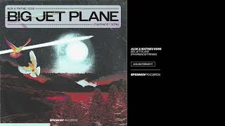 Alok, Mathieu Koss, Pharmacist - Big Jet Plane (Pharmacist Remix)