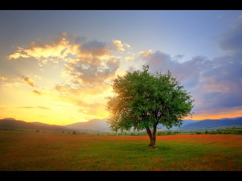 8 Hours Music For Sleeping, Soothing Music, Stress Relief, Go To Sleep, Background Music, ☯670