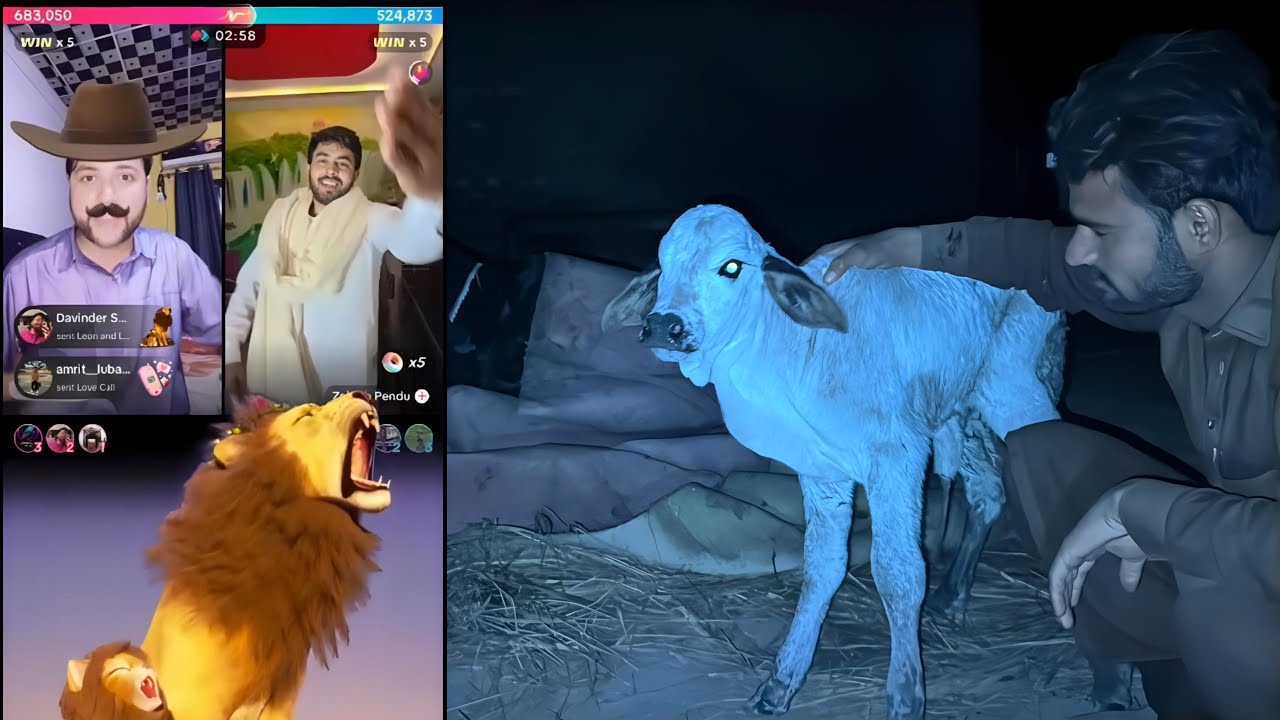 Double Khushkhabri: Ghar Mein Aya Naya Mehmaan Aur Hum PK Match Jeet Gaye! 😍🏆