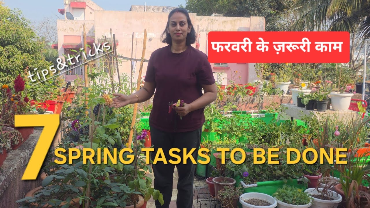7 TASKS TO BE DONE IN SPRING,फरवरी के ज़रूरी काम 