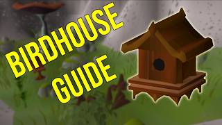 Birdhouse Runs Guide — Low-Effort Hunter XP & GP in OSRS!