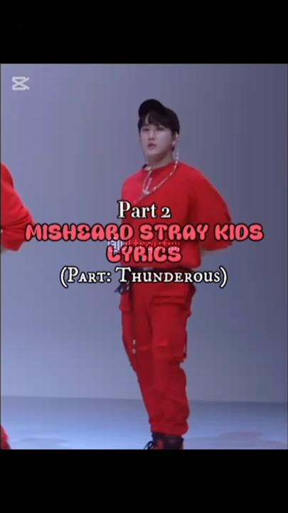 Misheard Stray Kids Lyrics | Part Thunderous | Part 2 | Stray Kids | Thunderous