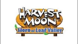 Harvest Moon: Hero of Leaf Valley - In the Room