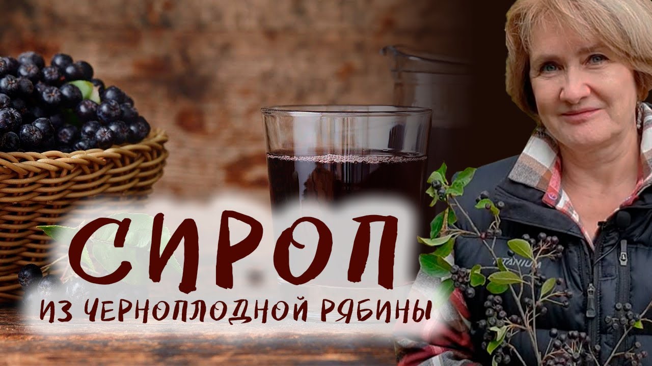 Рецепт волшебного сиропа из черноплодки