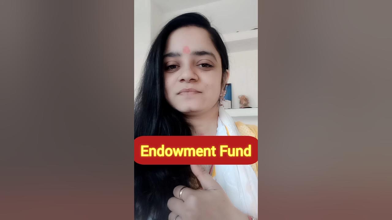 Endowment Fund In NPO I What is Endowment Fund I Endowment Fund YouTube