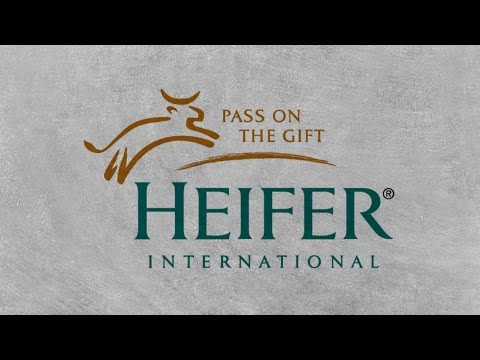 Livestock Value Chain System - SMS Integration with Heifer Nepal