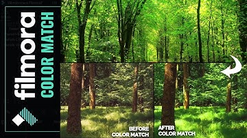 How to Color Match Video Footage | Filmora Color Matching