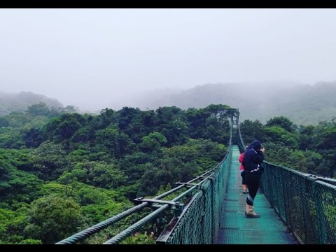 Video: Najlepšie Veci, Ktoré Môžete Robiť V Oblaku V Monteverde Cloud Forest V Kostarike