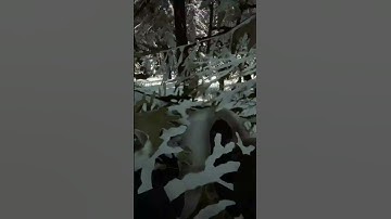 Mountain Sled in Sons of the Forest #shorts