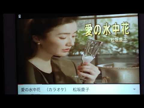 松坂慶子さんの  🎤💃🎵☕  愛の水中花  歌わせていただきました🎈🎈