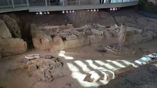 Waco Mammoth Dig Site National Park