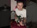 サビもやばい 星野源さんの不思議すぎるコード進行 星野源 不思議 Shorts Short 作曲 サビもやばい 星野源さんの不思議すぎるコード進行 星野源 不思議 Shorts Short 作曲