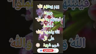 Surah Al Mujaadila 58 Verses 6