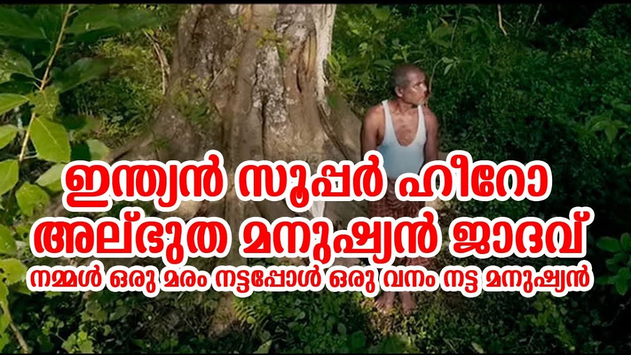 ഇന്ത്യയുടെ സൂപ്പര്‍ ഹീറോ ! അത്ഭുത മനുഷ്യന്‍ ജാദവ് | The Forest Man Of India| Explained in Malayalam