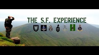 The S.F. Experience with David Dunsby