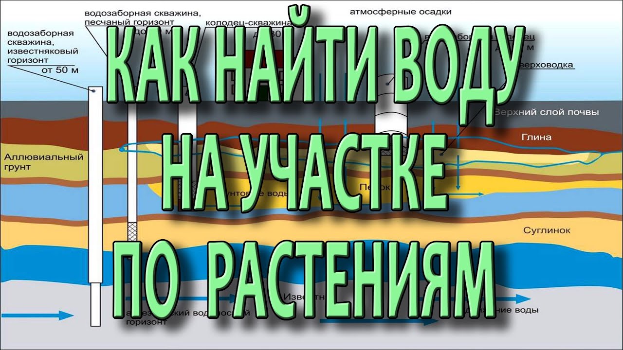 Metody vyhledávání a půdní vlastnosti