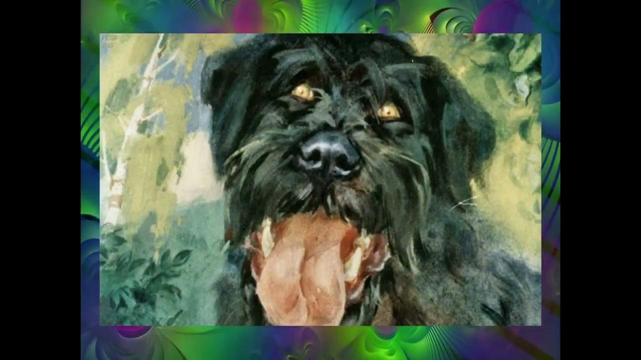 Барбос и жулька тест 3 класс. Барбос и жулька иллюстрации. куприн барбос и жулька. барбос и жулька рисунок. собака жулька синяя.