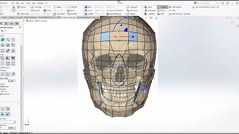 Modeling a Skull in SOLIDWORKS® with the Power Surfacing add-in