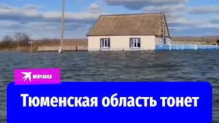 Вода поднимается, людей эвакуируют: ситуация в Тюменской области