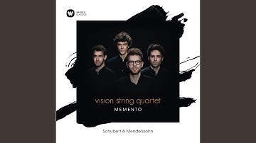 String Quartet No. 6 in F Minor, Op. 80, MWV R37: I. Allegro vivace assai - Presto