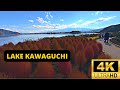 Lake kawaguchi japan  4k the most picturesque location to see mt fuji in japan