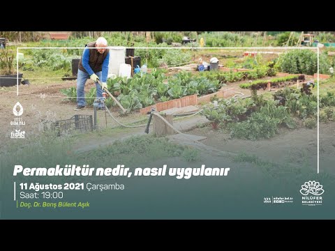 Video: Bahçe Hendekleri - Bahçenizde Bir Hendek Oluşturmanın İpuçları