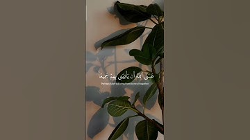 تلاوة عذبة من سورة " يوسف " [ فصبرُ جميل ]