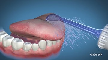 Cách sử dụng đầu tăm nước Waterpik Tongue Cleaner | Đầu Rơ Lưỡi