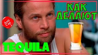 •Как делают текилу• ◀[Кровавый четверг]▶