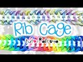 NEW Rib Cage Rainbow Loom Bracelet