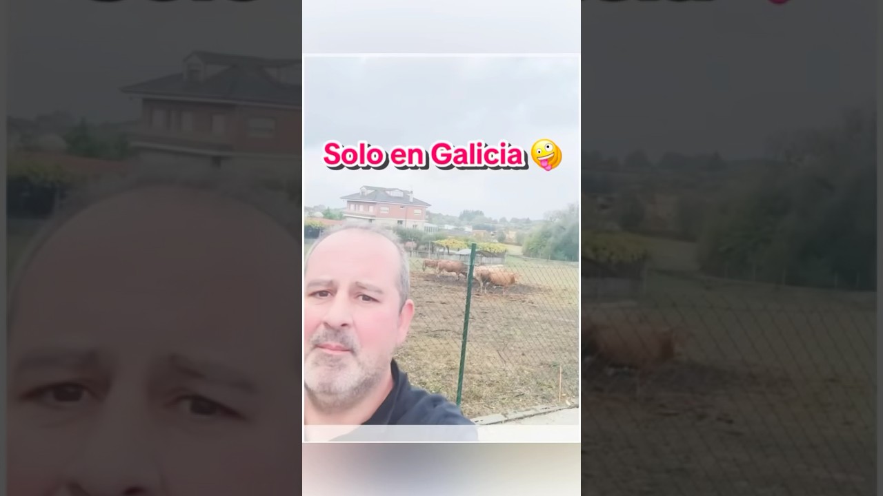 Os voy a enseñar algo que solo vais a ver en Galicia