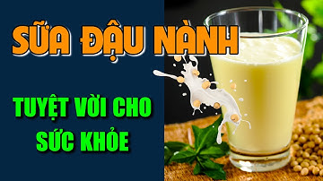Sữa đậu nành | lợi ích tuyệt vời của cho sức khỏe bạn đã biết chưa | Sống khỏe bạn và tôi