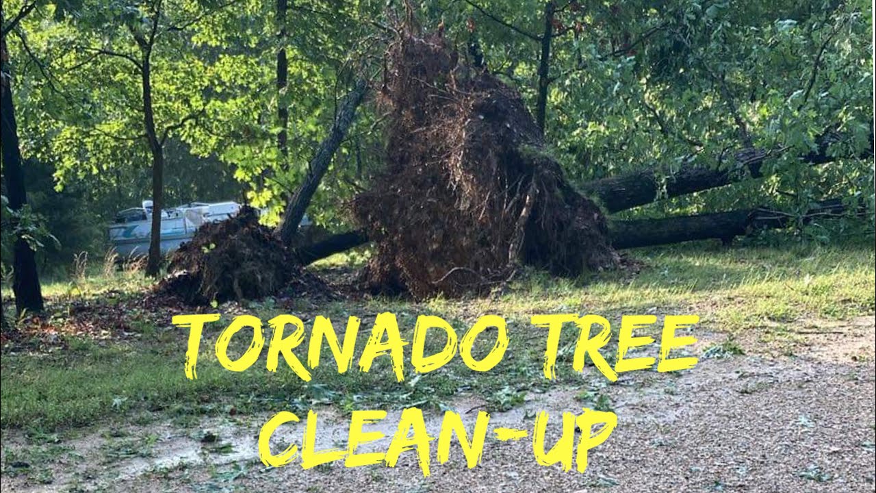 Tornado Tree Clean-up on the Homestead - YouTube