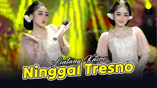 Download Lagu Lintang Kairo - Ninggal Tresno (Official Music Video) MP3 Download Lagu Lintang Kairo - Ninggal Tresno (Official Music Video) MP3