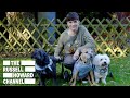 Good Deeds: Winston's Wheels | The Russell Howard Hour