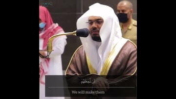 هذا بصائر للناس وهدى"ترتيل شجي بالصبا أ.د ياسر الدوسري | سورة الجاثية