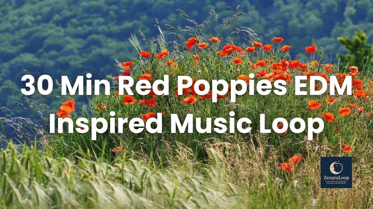 30 Min Red Poppies – Uplifting EDM Chill Inspired Music Loop for Deep Energy, Focus, and Creativity