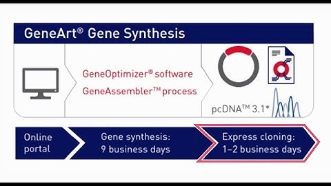 GeneArt Express Cloning Service