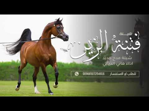 شيلة مدح جديد 2025 فتنة الزين - اداء هاني الذيابي | تنفيذ بالاسماء / شيلات رقص بنات حماسيه
