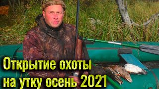 Открытие охоты на утку, осень 2021.Охота на утку из скрадка с чучелами, а также с лодки.Охота в Коми