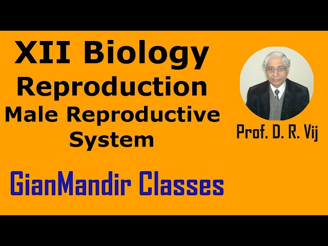 XII Biology | Reproduction | Human Reproduction | Male Reproductive System by Inderpal Sir
