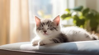 Calming Music for Anxious Cats  Cat Music for Deep Relaxation and Sleep, Music For Cats