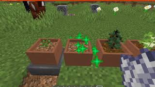 Botany Trees 1.16.3 Forge Mod Overview (Botany Pots Addon)