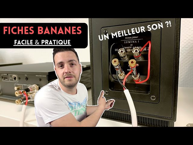 Fiches Bananes et Fourches - Son-Vidéo.com